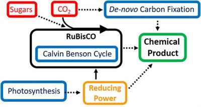 Synthetic Biology Approaches for Improving Chemical Production in Cyanobacteria